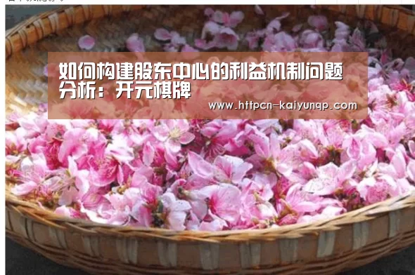 如何构建股东中心的利益机制问题分析:开元棋牌(图4) 开元棋牌试玩